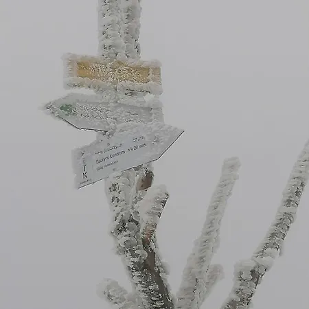 شقة Widokowy Ul Bukowa *