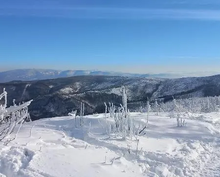 Widokowy Ul Bukowa *
