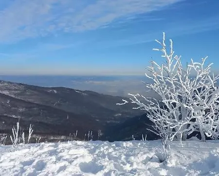 Widokowy Ul Bukowa