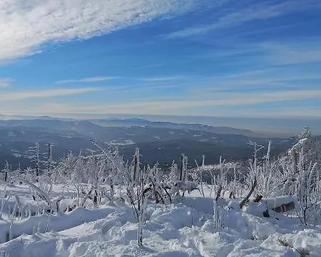 Widokowy Ul Bukowa *