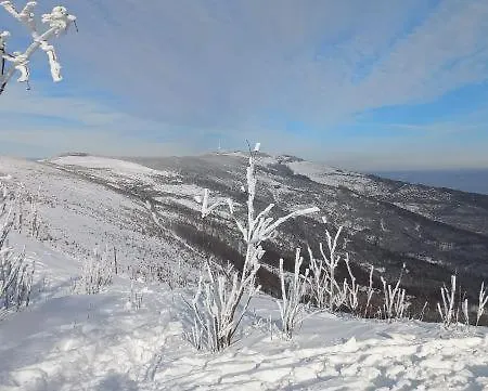 Widokowy Ul Bukowa *
