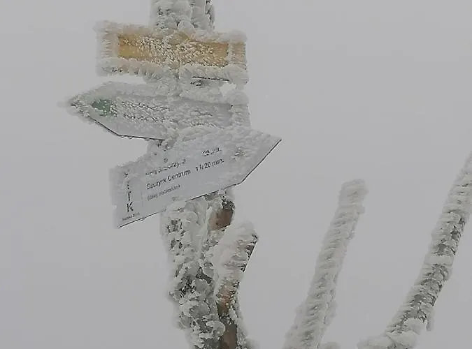 Lejlighed Widokowy Ul Bukowa *