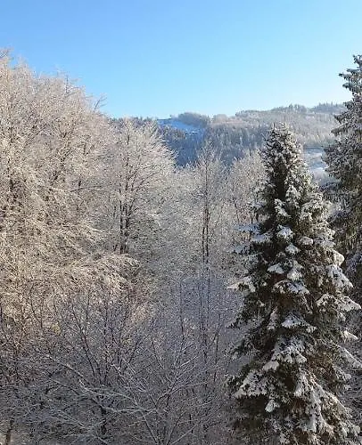 Lejlighed Widokowy Ul Bukowa