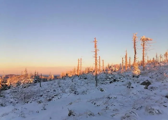 Lejlighed Widokowy Ul Bukowa Wisła