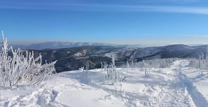 Widokowy Ul Bukowa *