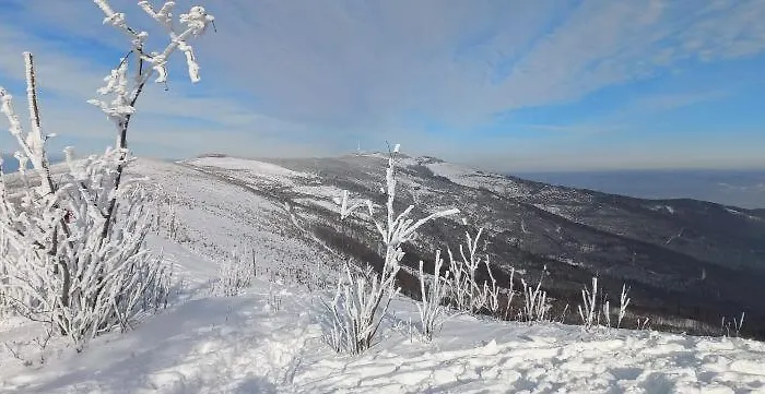 Widokowy Ul Bukowa *